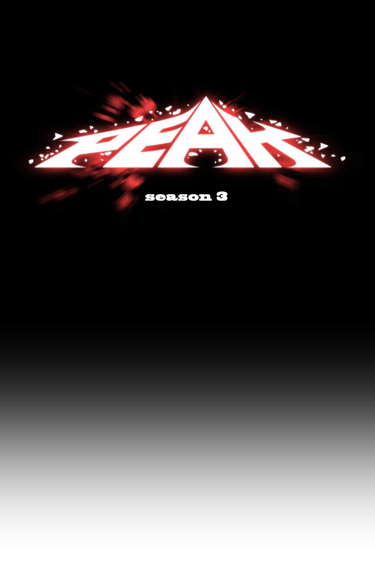 Peak (Im Gang-hyeok) Chapter 26 page 10 - Chapter 26 : Rock. 09 - Identity