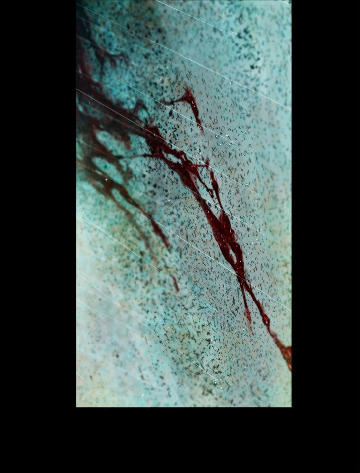Peak (Im Gang-hyeok) Chapter 42 page 24 - Chapter 42
