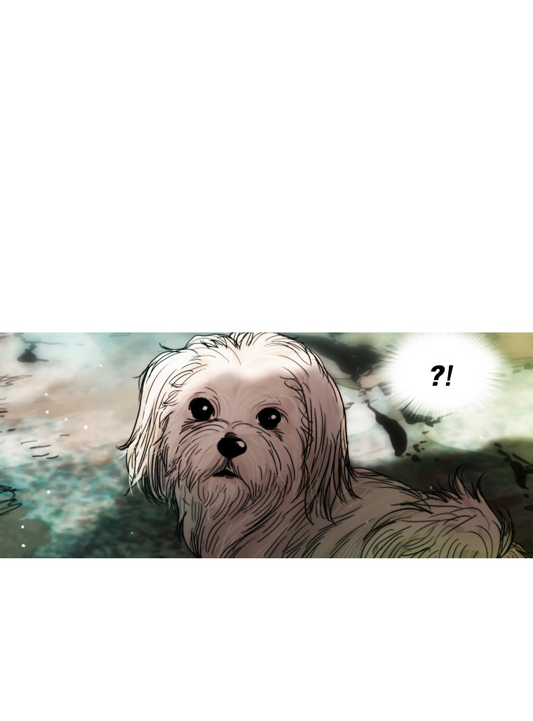 Peak (Im Gang-hyeok) Chapter 62 page 15 - Chapter 62 : Rock. 14 - Together (2)