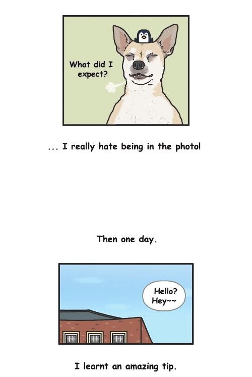 Penguin Loves Mev Chapter 191 page 10 - Chapter 191