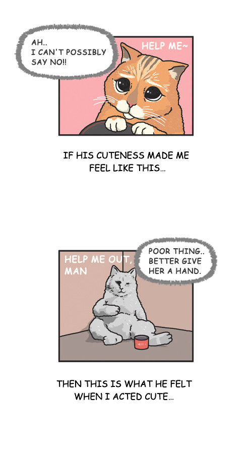 Penguin Loves Mev Chapter 20 page 10 - Chapter 20