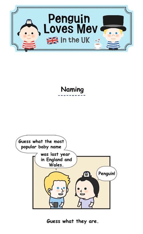 Penguin Loves Mev Chapter 234 page 1 - Chapter 234