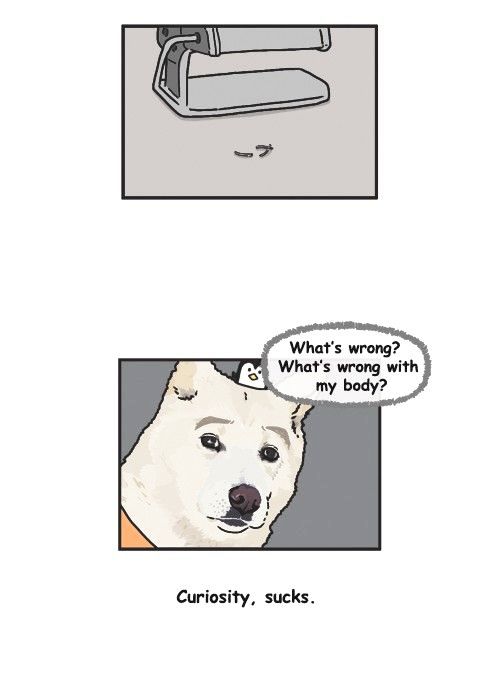 Penguin Loves Mev Chapter 258 page 13 - Chapter 258