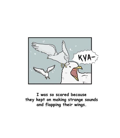 Penguin Loves Mev Chapter 284 page 6 - Chapter 284