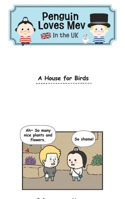 Penguin Loves Mev Chapter 331 page 1 - Chapter 331