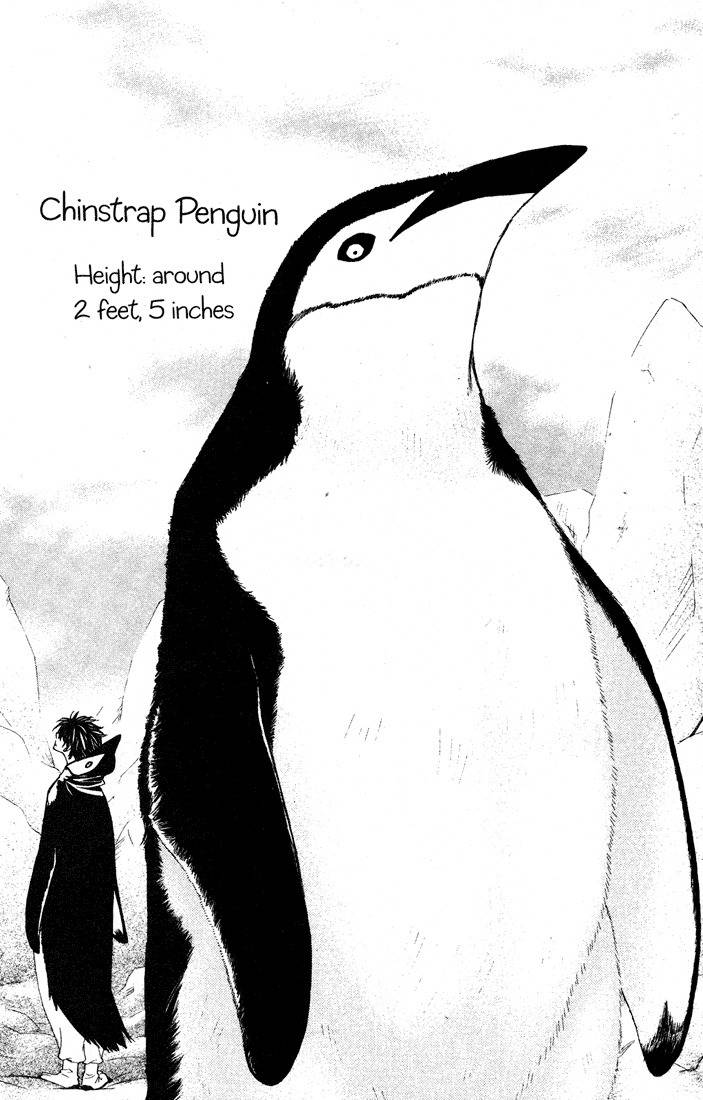Penguin Revolution Chapter 32 page 28 - Chapter 32