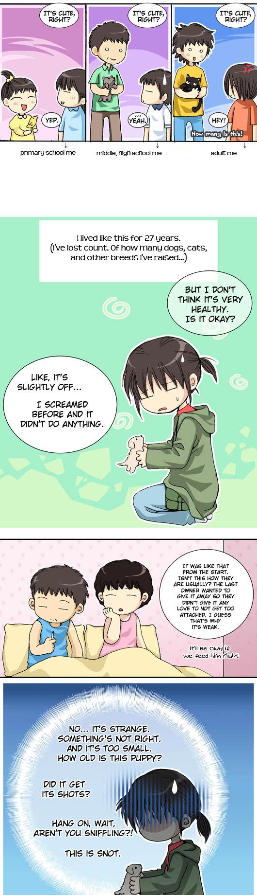 Pet Diary Chapter 15.5 page 3 - Chapter 15.5 : -And Something That May Or May Not Be Related To The Story-