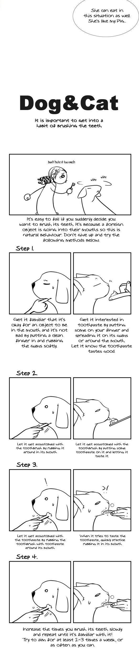 Pet Diary Chapter 26 page 11 - Chapter 26