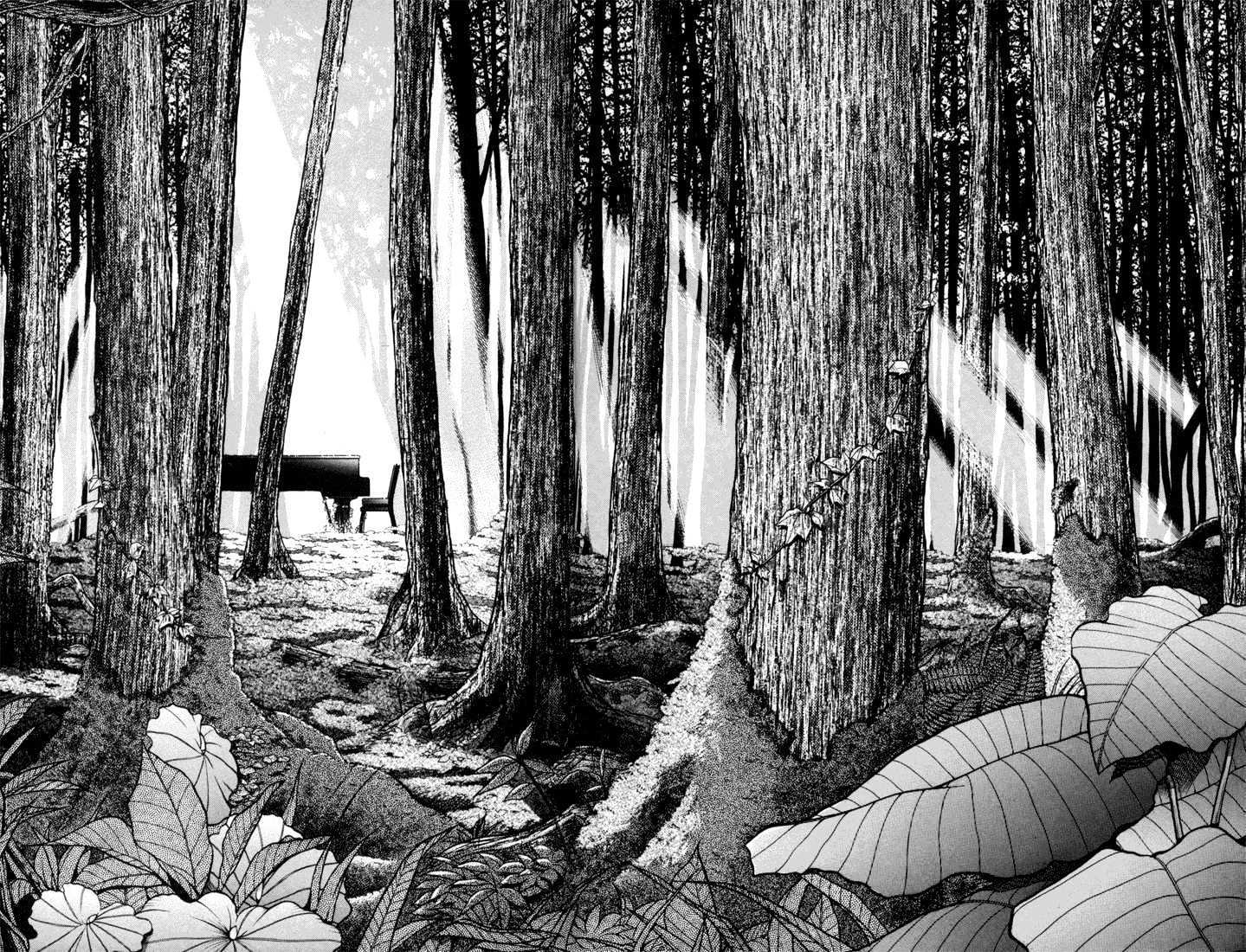 Piano no Mori Chapter 2 page 23 - Chapter 2 : Piano in the Forest Part 2