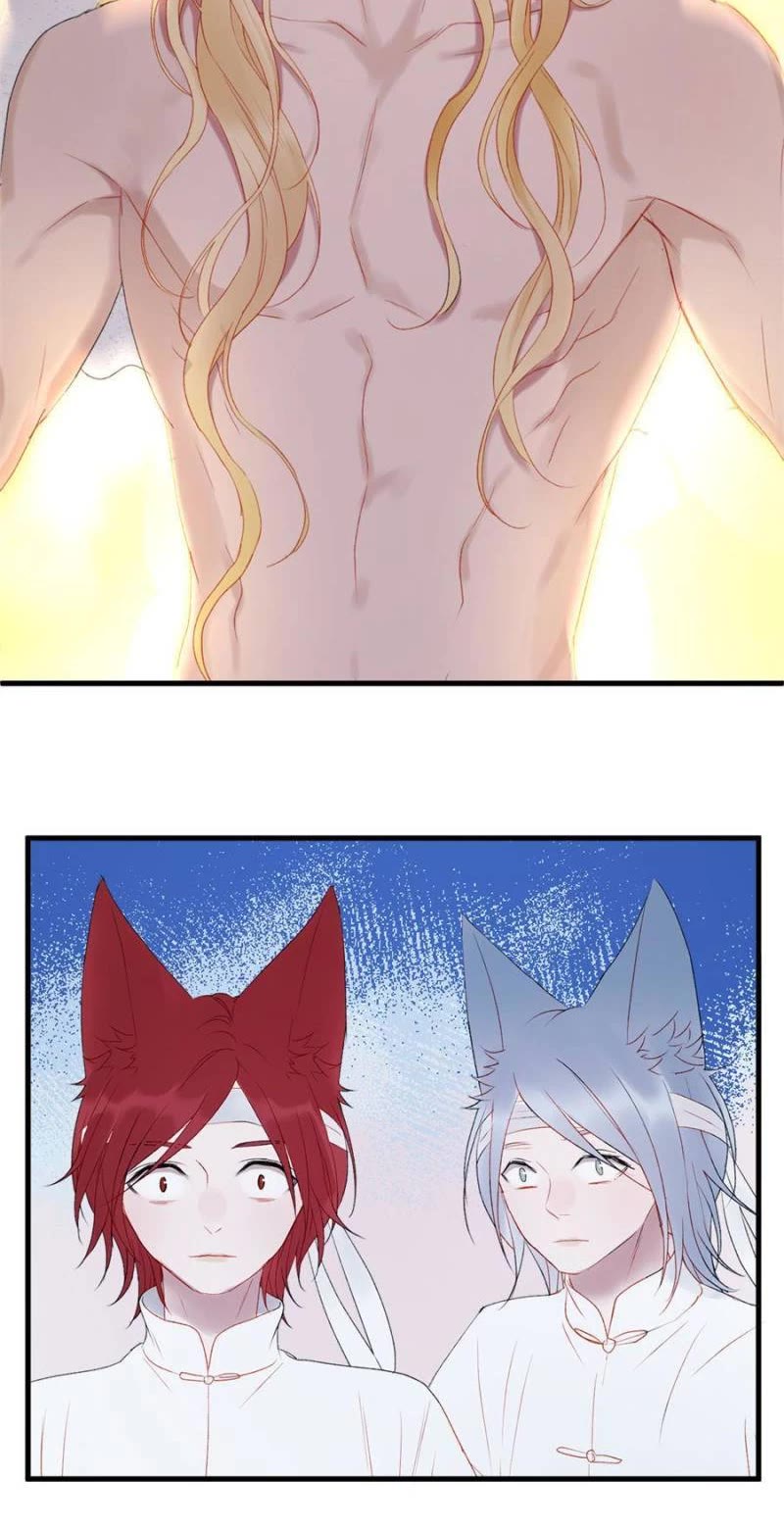 Picked Up A Little Fox Chapter 144 page 14 - Chapter 144