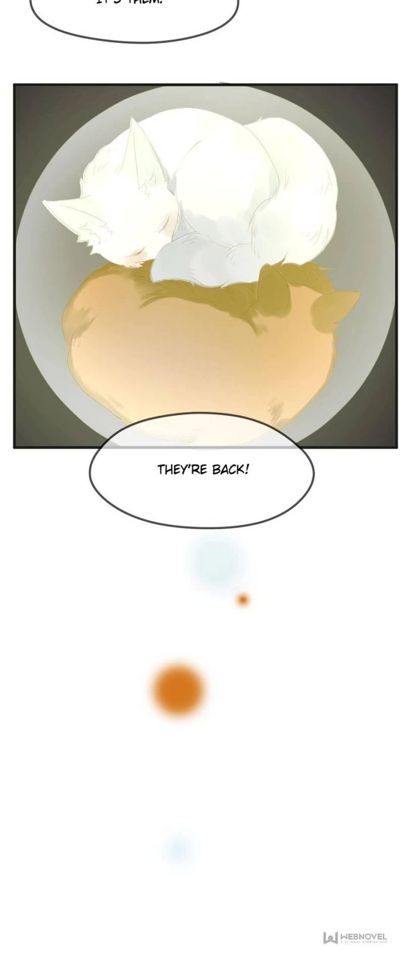 Picked Up A Little Fox Chapter 147 page 12 - Chapter 147
