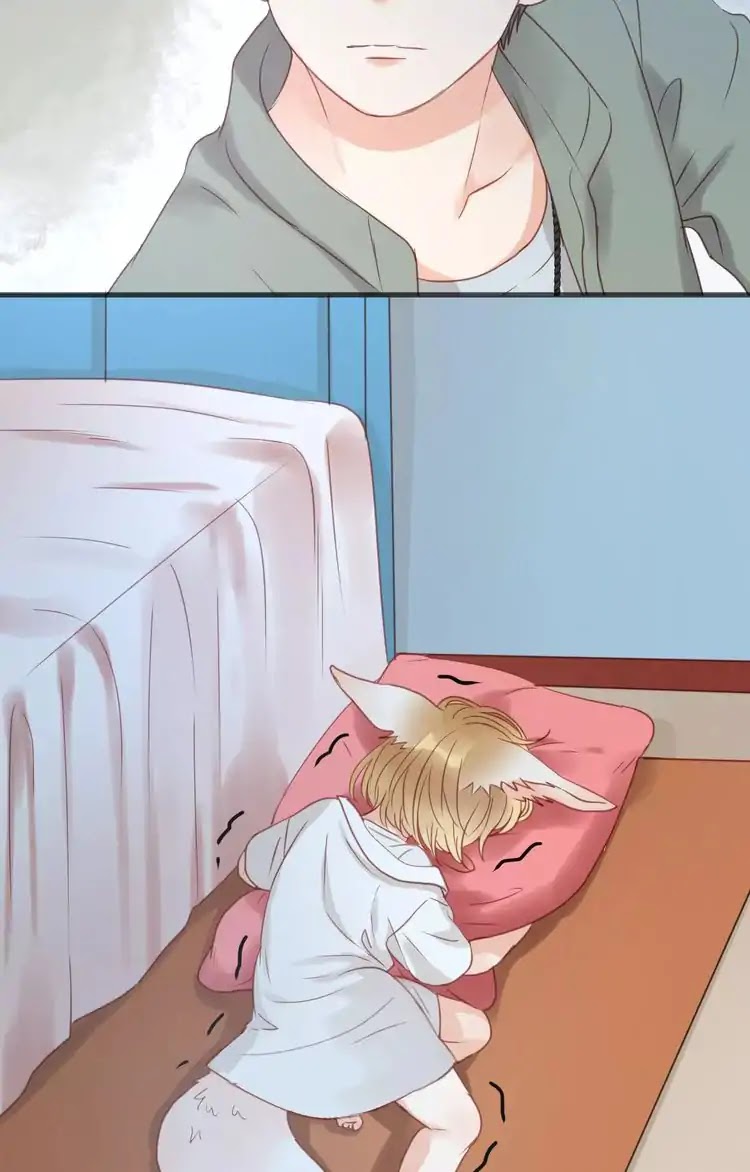 Picked Up A Little Fox Chapter 17 page 14 - Chapter 17: Xiao Jiu's real appearance has been discovered