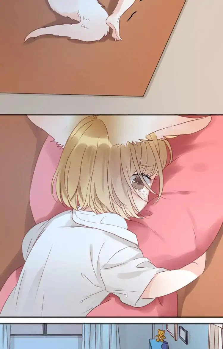 Picked Up A Little Fox Chapter 17 page 15 - Chapter 17: Xiao Jiu's real appearance has been discovered