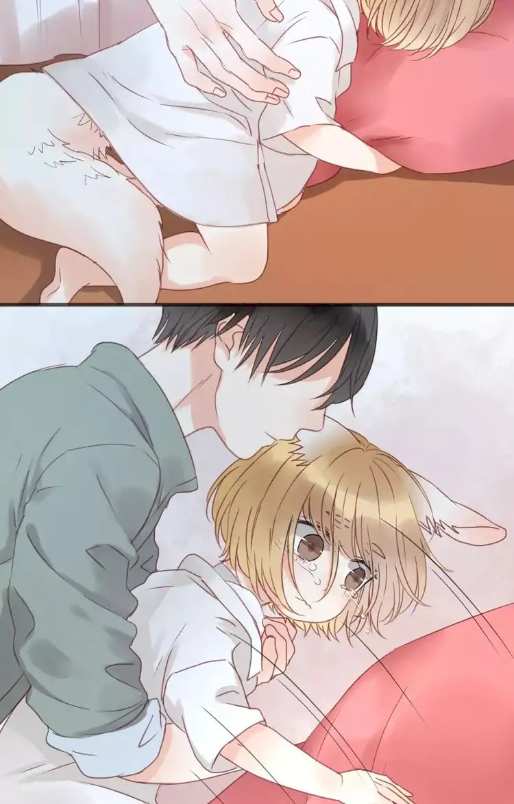 Picked Up A Little Fox Chapter 17 page 17 - Chapter 17: Xiao Jiu's real appearance has been discovered