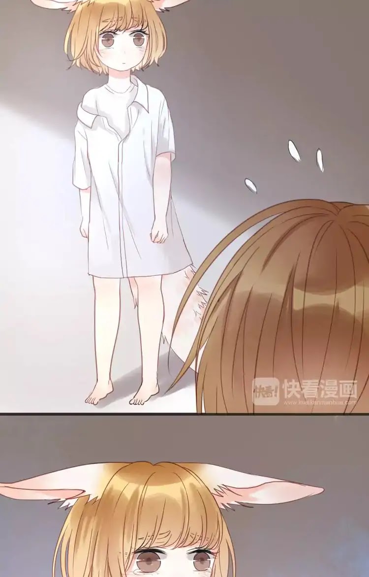 Picked Up A Little Fox Chapter 19 page 3 - Chapter 19: She must be very sad now
