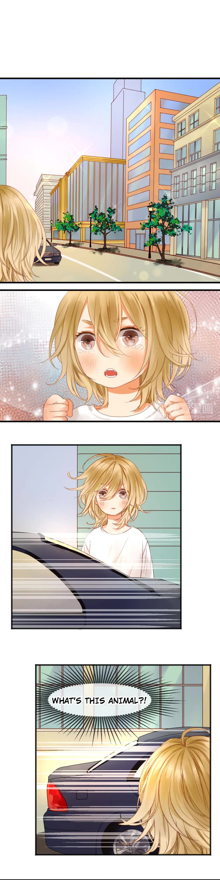 Picked Up A Little Fox Chapter 2 page 1 - Chapter 2: I picked up a very cute fox? (2)