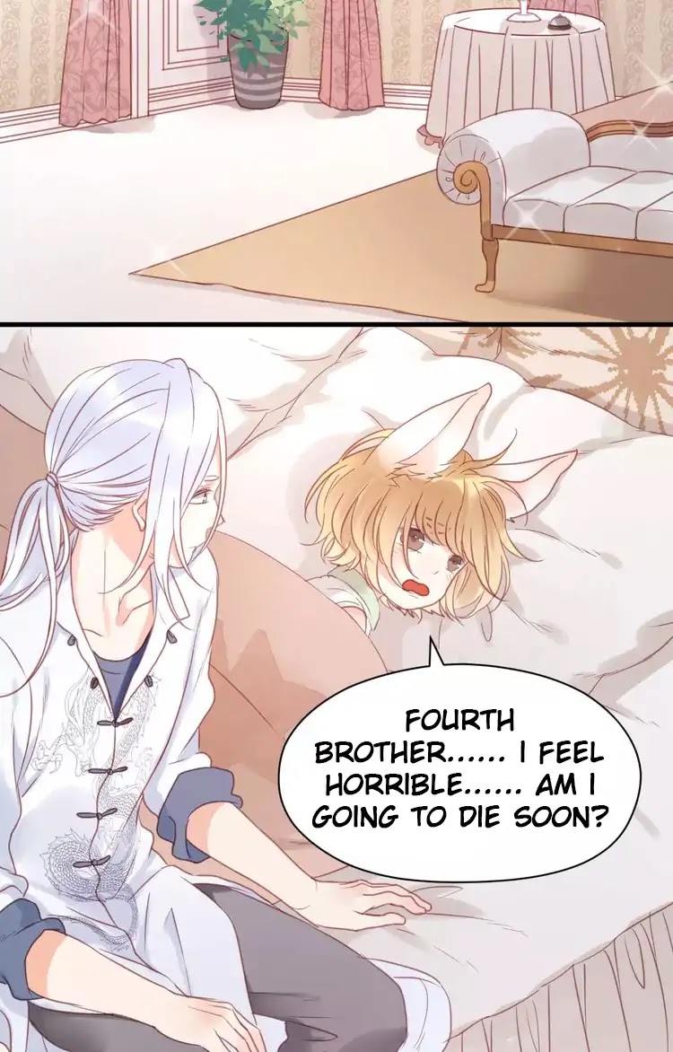 Picked Up A Little Fox Chapter 20 page 12 - Chapter 20: I want to become a girl