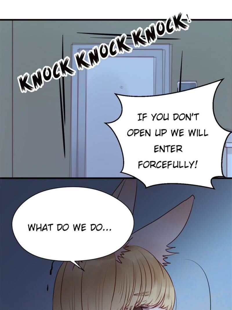Picked Up A Little Fox Chapter 37 page 1 - Chapter 37