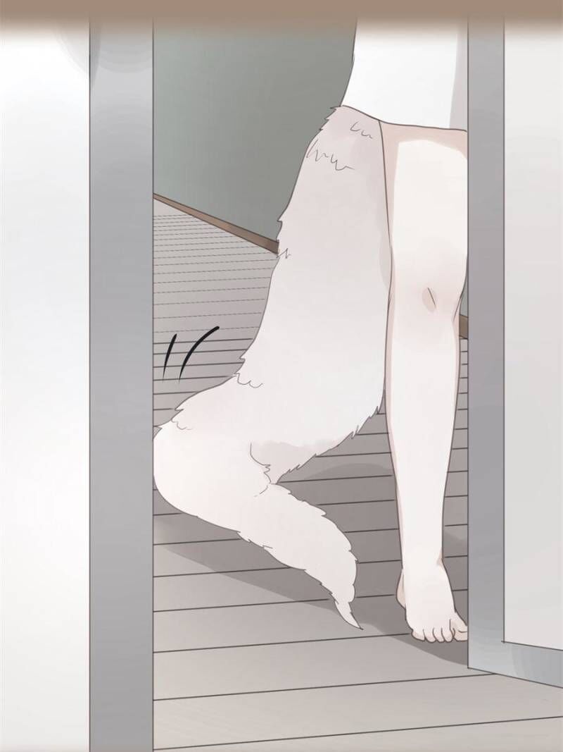 Picked Up A Little Fox Chapter 43 page 23 - Chapter 43