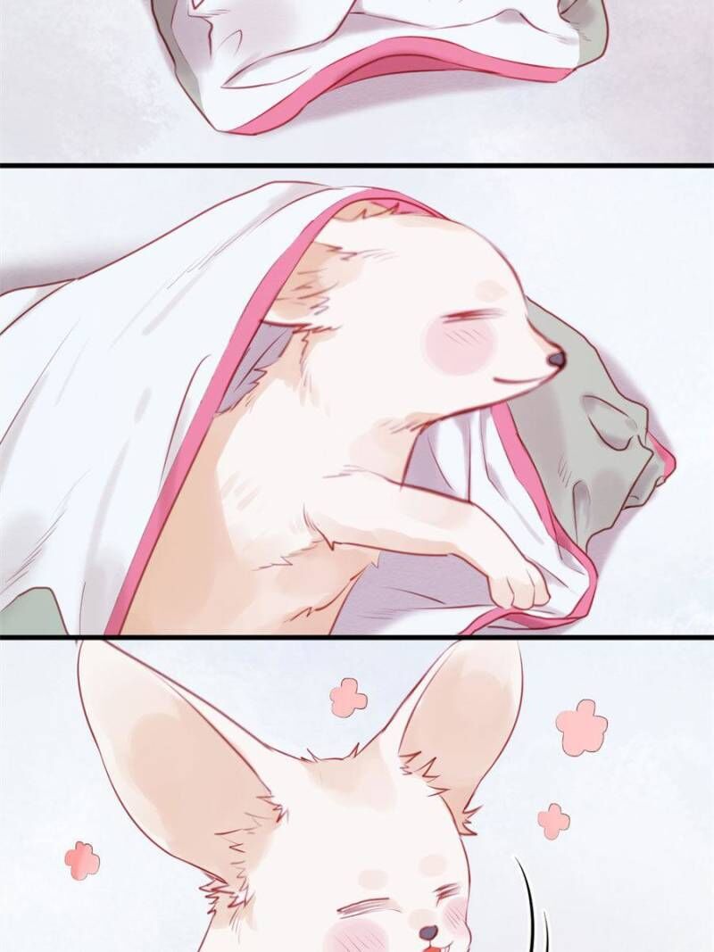 Picked Up A Little Fox Chapter 48 page 15 - Chapter 48