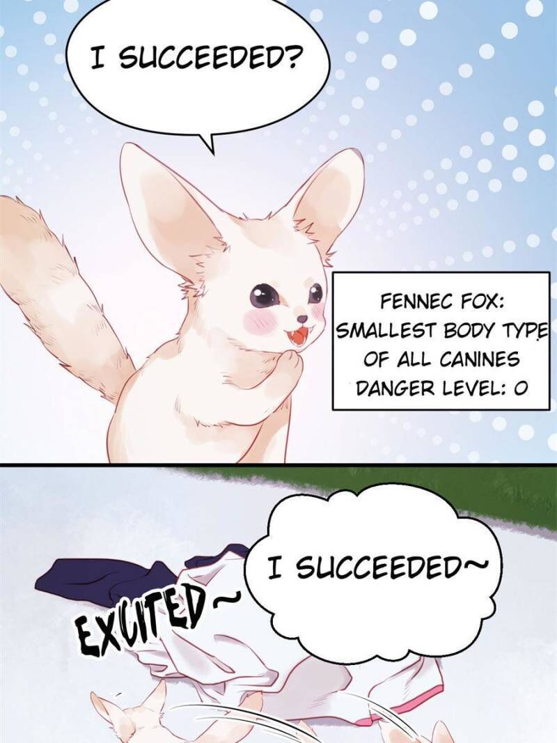 Picked Up A Little Fox Chapter 48 page 18 - Chapter 48