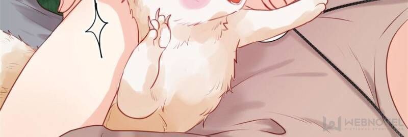 Picked Up A Little Fox Chapter 48 page 26 - Chapter 48
