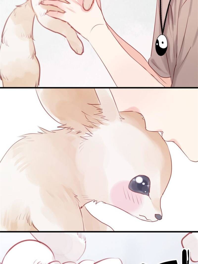 Picked Up A Little Fox Chapter 48 page 36 - Chapter 48