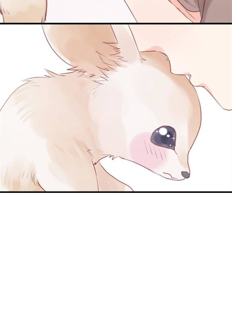 Picked Up A Little Fox Chapter 49 page 2 - Chapter 49