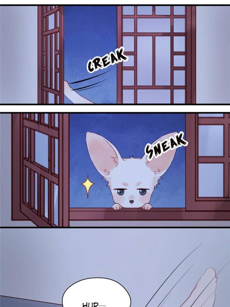Picked Up A Little Fox Chapter 52 page 12 - Chapter 52