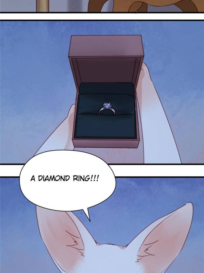 Picked Up A Little Fox Chapter 52 page 15 - Chapter 52
