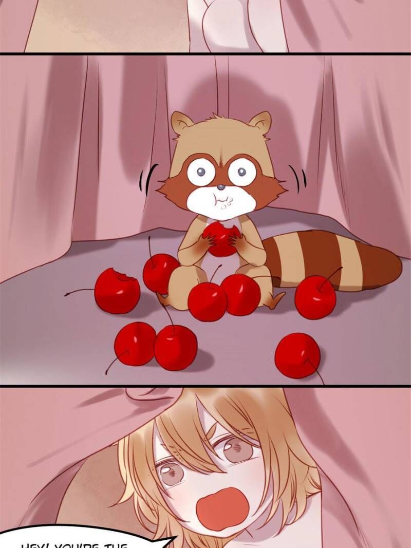 Picked Up A Little Fox Chapter 61 page 34 - Chapter 61