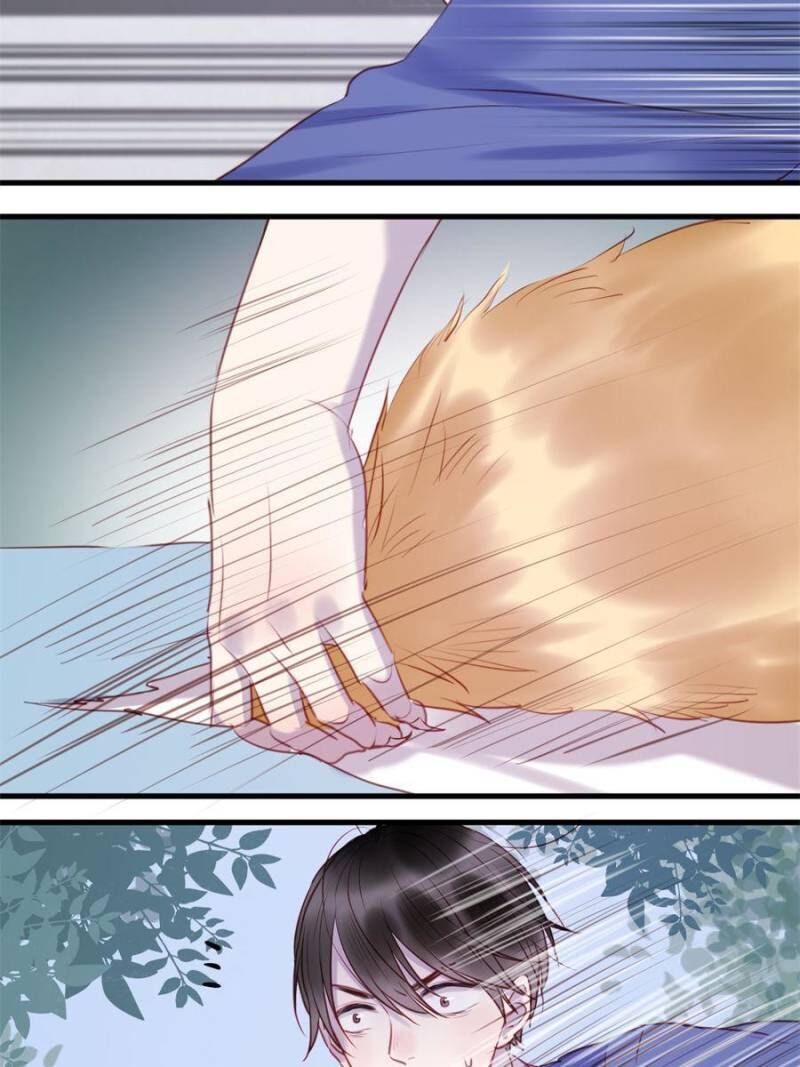 Picked Up A Little Fox Chapter 65 page 24 - Chapter 65