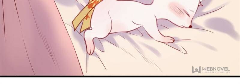 Picked Up A Little Fox Chapter 66 page 35 - Chapter 66
