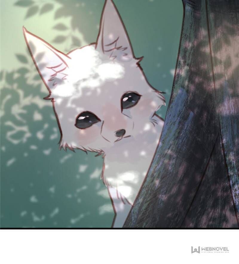Picked Up A Little Fox Chapter 70 page 25 - Chapter 70