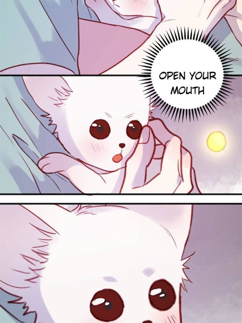 Picked Up A Little Fox Chapter 75 page 17 - Chapter 75