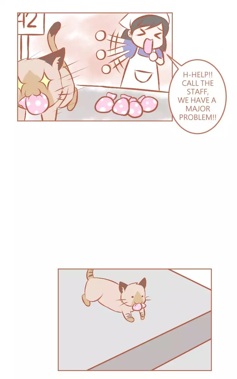 Piece of Cake! (Namiko07) Chapter 18.5 page 6 - Extra