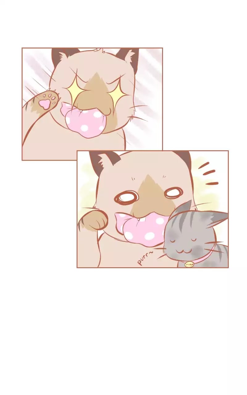 Piece of Cake! (Namiko07) Chapter 18.5 page 8 - Extra
