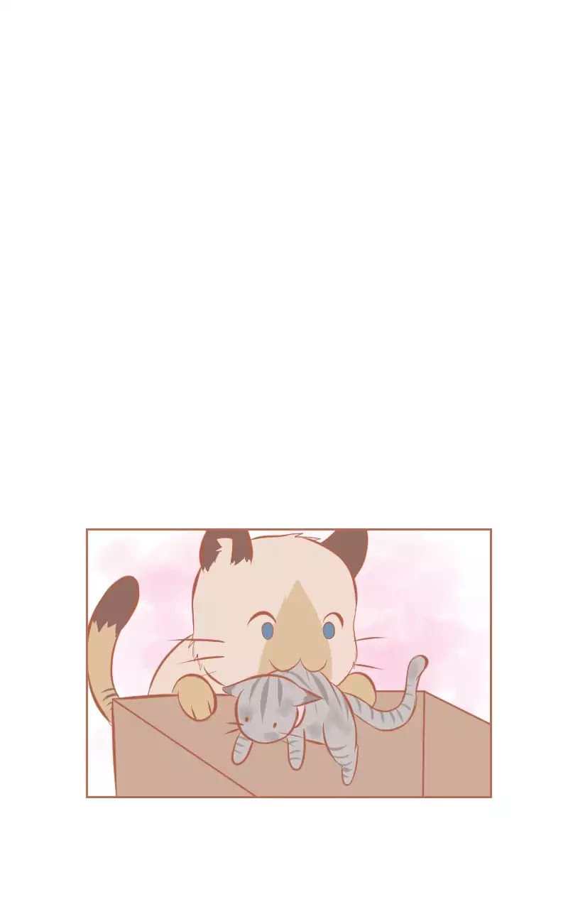 Piece of Cake! (Namiko07) Chapter 18.5 page 9 - Extra