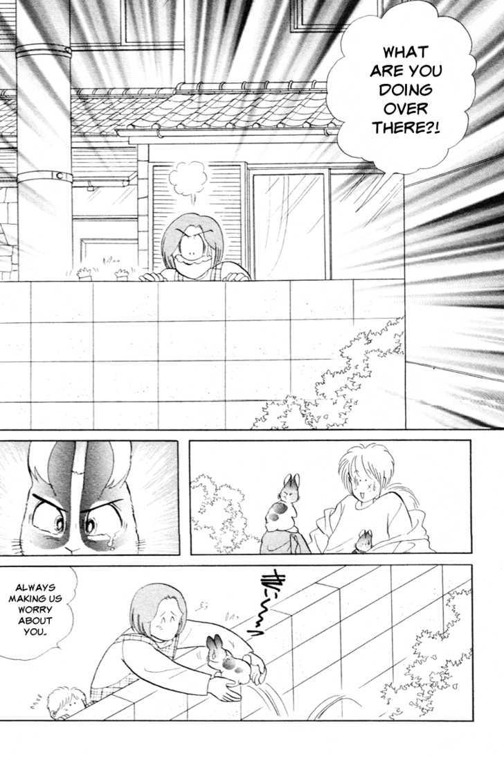 Pikupiku Sentarou Selection: Funwari Haru no Maki Chapter 12 page 16 - Chapter 12 : Lonely Bunny