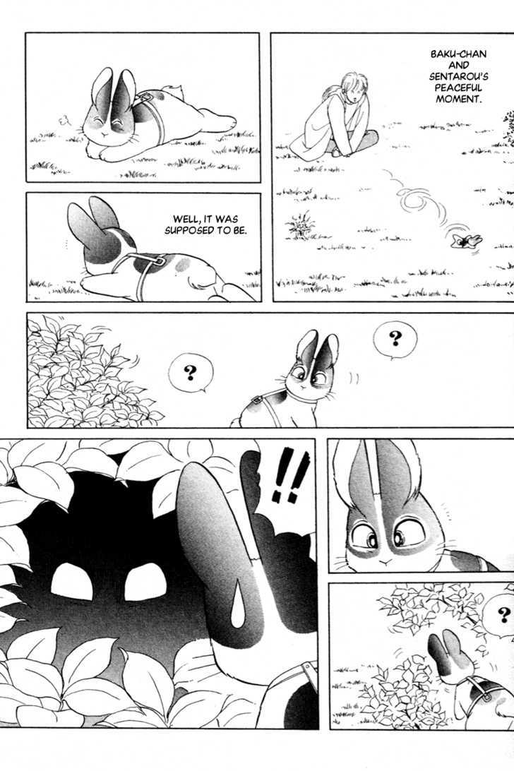 Pikupiku Sentarou Selection: Funwari Haru no Maki Chapter 12 page 5 - Chapter 12 : Lonely Bunny