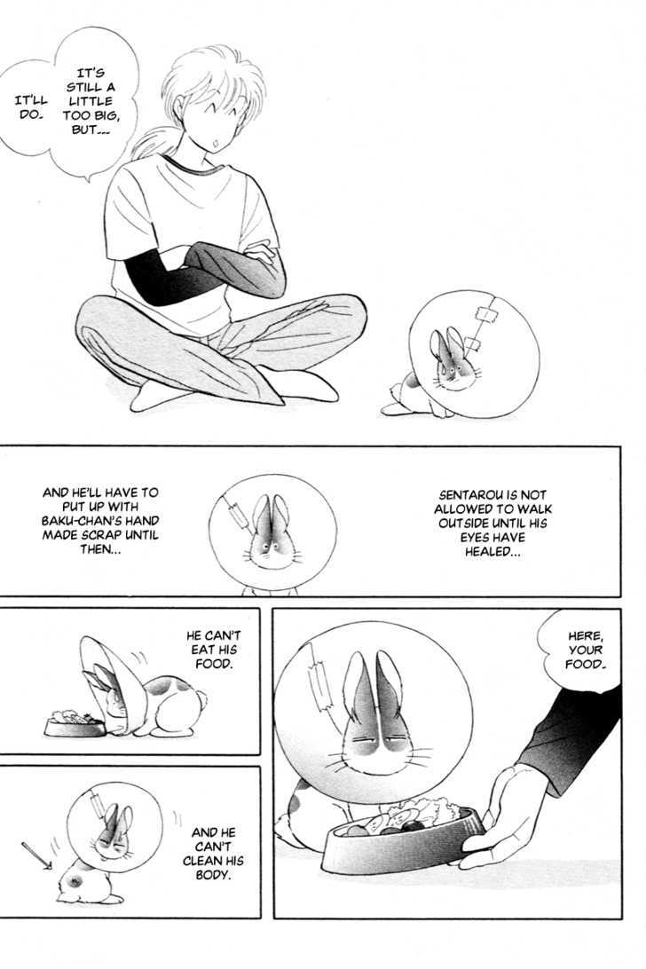 Pikupiku Sentarou Selection: Funwari Haru no Maki Chapter 15 page 11 - Chapter 15 : A Strong West Wind