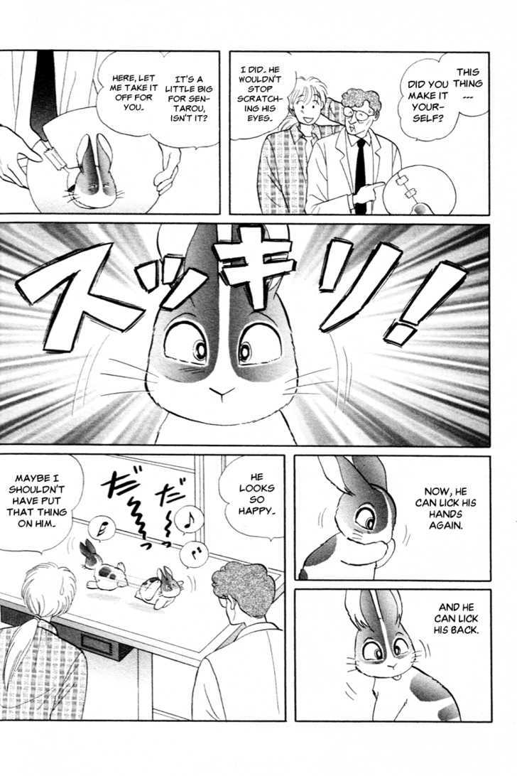 Pikupiku Sentarou Selection: Funwari Haru no Maki Chapter 15 page 13 - Chapter 15 : A Strong West Wind