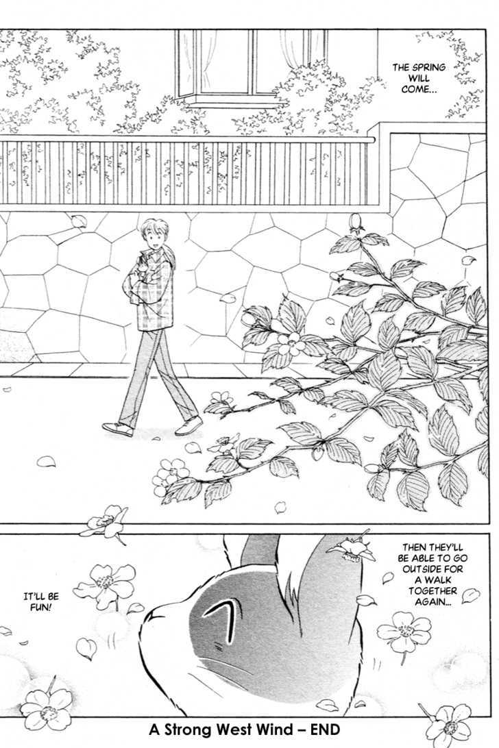 Pikupiku Sentarou Selection: Funwari Haru no Maki Chapter 15 page 17 - Chapter 15 : A Strong West Wind