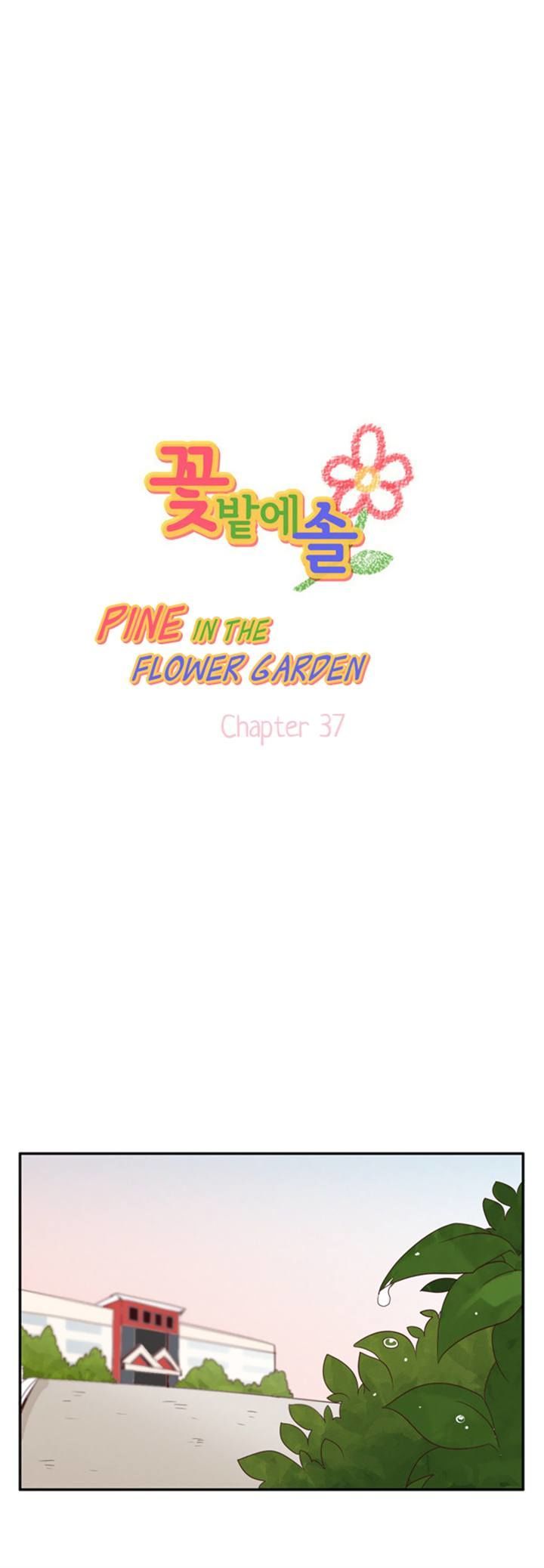 Pine in the Flower Garden Chapter 37 page 1 - Chapter 37