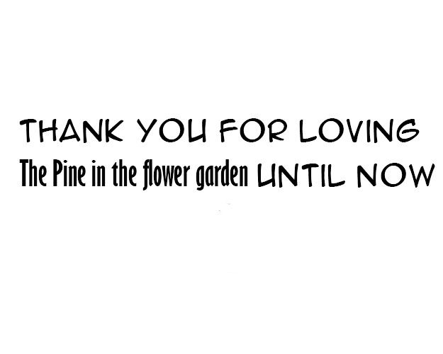 Pine in the Flower Garden Chapter 60 page 21 - Chapter 60