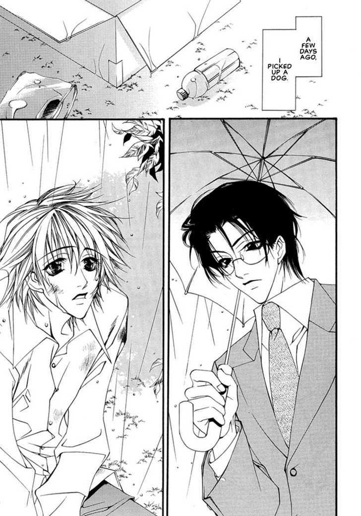 Pink Butterfly Chapter 7 page 8 - Chapter 7 : A Present Picked Up in the Rain [END]
