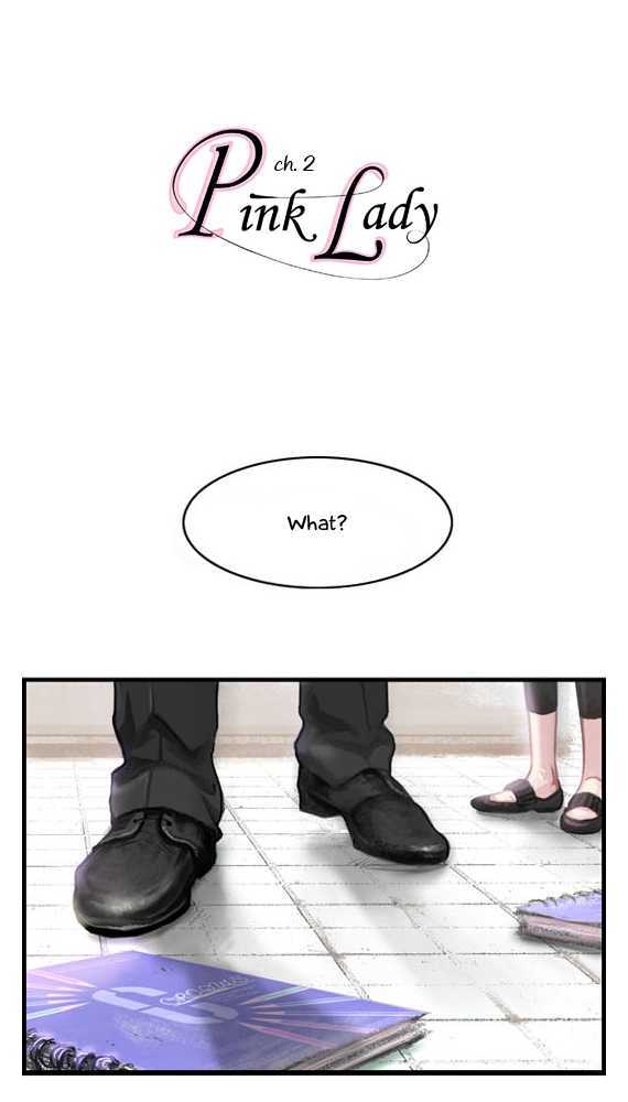 Pink Lady Chapter 2 page 2 - Chapter 2