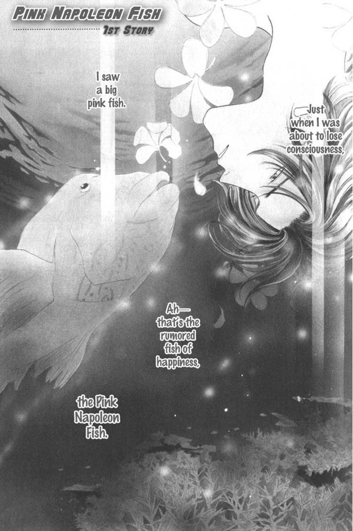 Pink Napoleon Fish Chapter 1 page 7 - Chapter 1