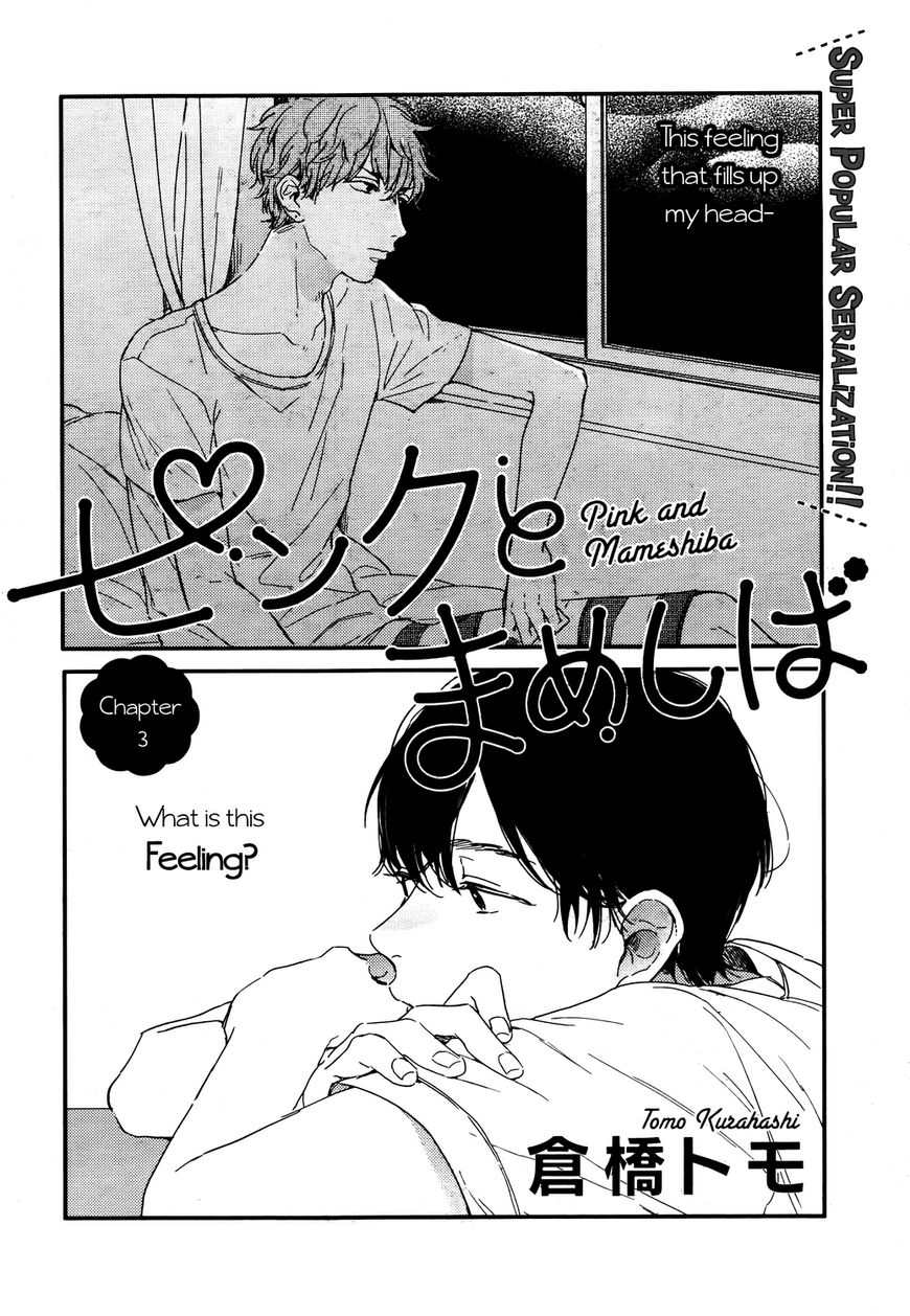 Pink to Mameshiba Chapter 3 page 3 - Chapter 3