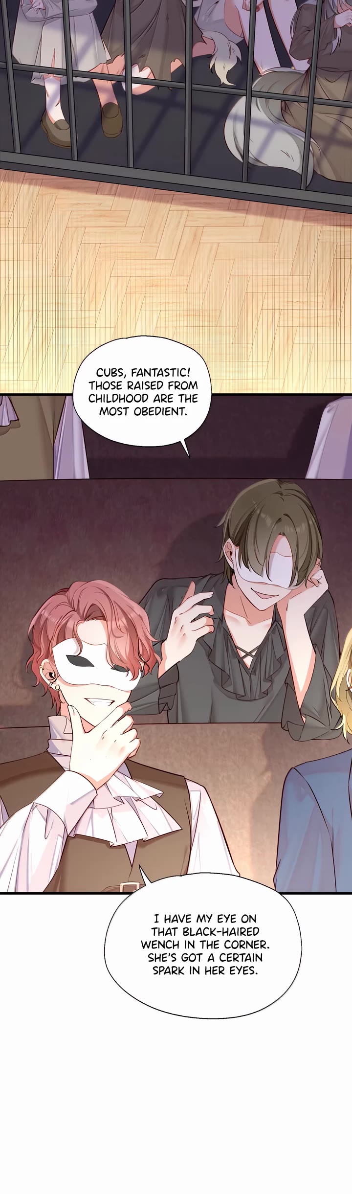 Please Bully Me, Miss Villainess! Chapter 148 page 18 - Chapter 148: The Black Market